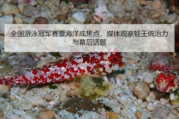 quan-guo-you-yong-guan-jun-sai-tan-hai-yang-cheng-jiao-dian-mei-ti-guan-cha-wa-wang-tong-zhi-li-yu-mu-hou-hua-ti-2-442.jpg