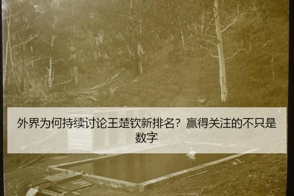 wai-jie-wei-he-chi-xu-tao-lun-wang-chu-qin-xin-pai-ming-ying-de-guan-zhu-de-bu-zhi-shi-shu-zi-2-866.jpg