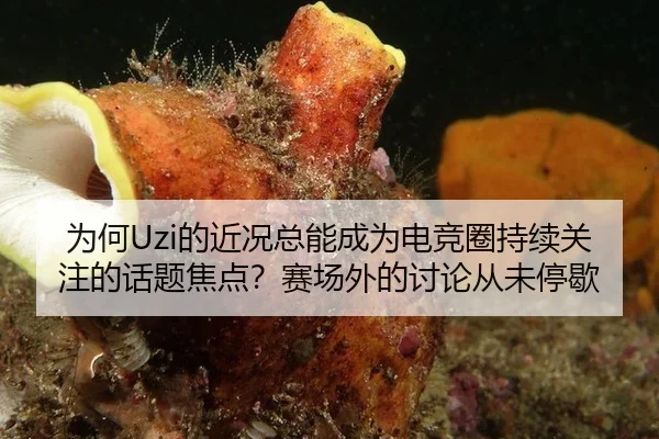 为何Uzi的近况总能成为电竞圈持续关注的话题焦点？赛场外的讨论从未停歇