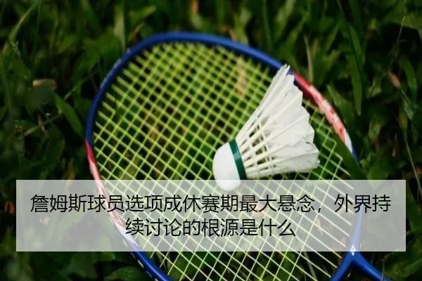 詹姆斯球员选项成休赛期最大悬念，外界持续讨论的根源是什么（ayx）